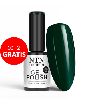 10+2gratis Lakier hybrydowy NTN Premium After Midnight Collection HEMA/Di-HEMA Free 5g Nr 71
