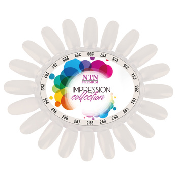 Wzornik do pomalowania NTN Impression