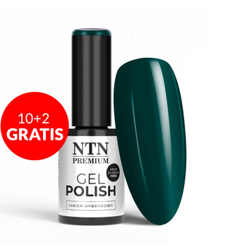 10+2gratis Lakier hybrydowy LED/UV Gel Polish NTN Premium Limited Edition Nr 373 HEMA/Di-HEMA Free 5g