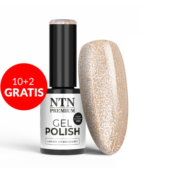 10+2gratis Lakier hybrydowy Ntn Premium Impression HEMA/Di-HEMA Free 5g Nr 262