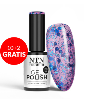 10+2gratis Lakier hybrydowy NTN Premium Multicolor Collection HEMA/Di-HEMA Free 5g Nr 86