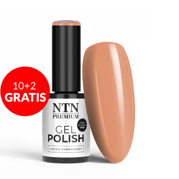 10+2gratis Lakier hybrydowy LED/UV Gel Polish Nudes Nr 460 Limited Edition NTN Premium HEMA/Di-HEMA Free 5g